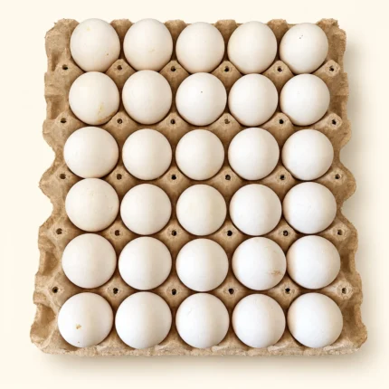 Huevos extra blancos, bandeja de 30 - fotografía basada en producto real